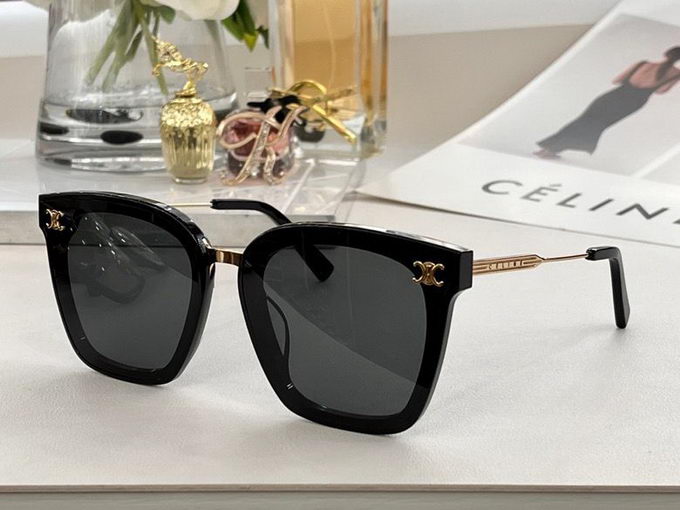 Celine Sunglasses ID:20230724-151